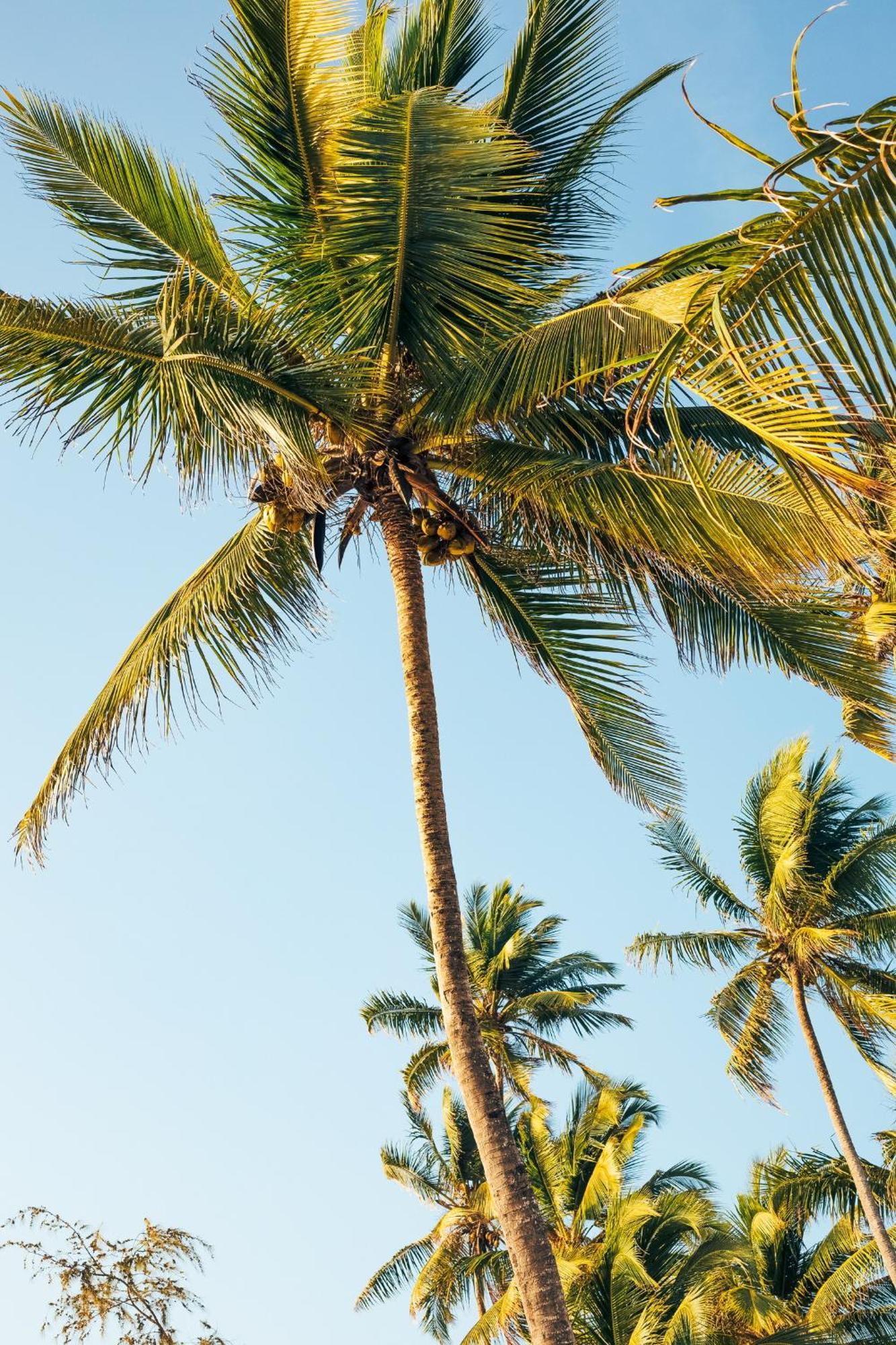 Pili Pili Orient Beach Resort Bwejuu Buitenkant foto